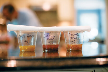 three plastic cups lined up with yellow, red, and orange liquids with a paper towel laid on top